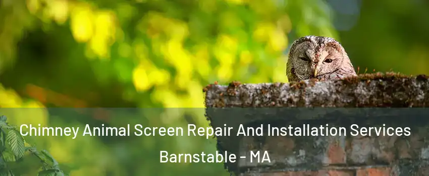  Chimney Animal Screen Repair And Installation Services Barnstable - MA