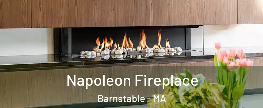  Napoleon Fireplace Barnstable - MA
